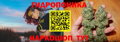 PSILOCYBIN Рыбинск