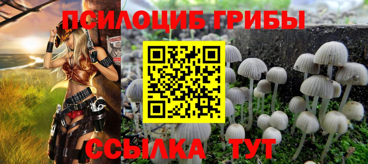 Галлюциногенные грибы GOLDEN TEACHER Сатка